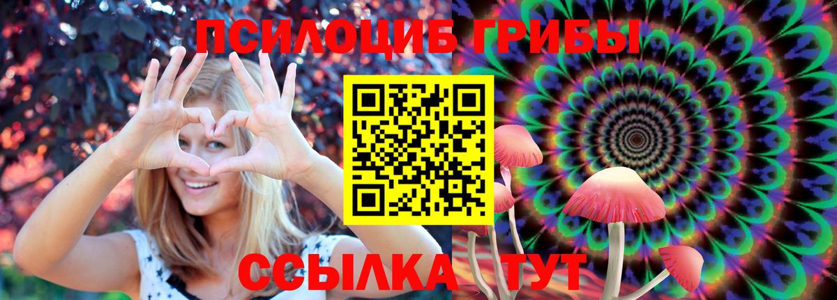 Шали  Псилоцибиновые грибы Psilocybe  Вход с VPN  Псилоцибиновые грибы ЛСД 